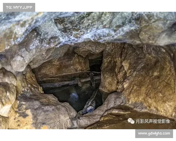 隐匿洞穴战略部署的最佳实践与实施路径分析 隐匿洞穴战略部署的最佳实践与实施路径分析