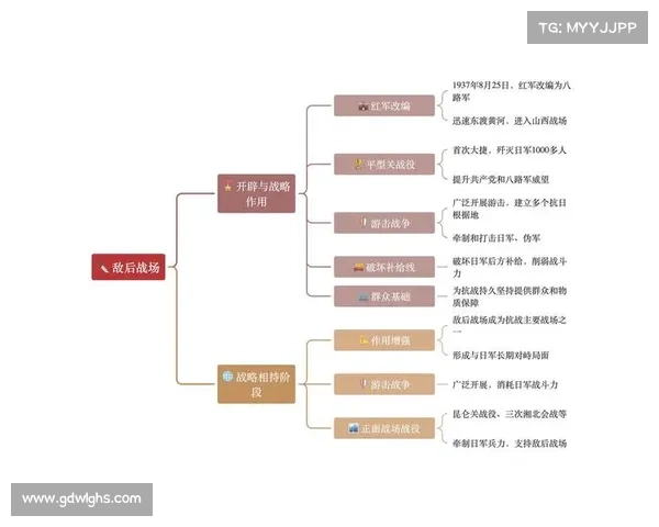 深入解析辅助光辉装备战术运用及其在战场中的战略价值与应用技巧 深入解析辅助光辉装备战术运用及其在战场中的战略价值与应用技巧